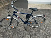 Herrenfahrrad in gutem Zustand Nordrhein-Westfalen - Bad Lippspringe Vorschau