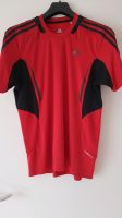 Adidas Sport Shirt Bayern - Schwifting Vorschau