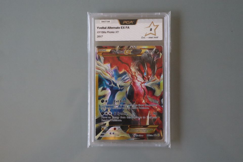 Pokemon TCG Yveltal EX PCA 8 Grade Karte in Spenge