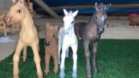 Schleich Pferde Kreis Pinneberg - Quickborn Vorschau