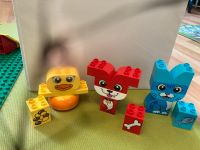 Lego Duplo: meine ersten Tiere/ Farben lernen/ 10858 Niedersachsen - Uslar Vorschau