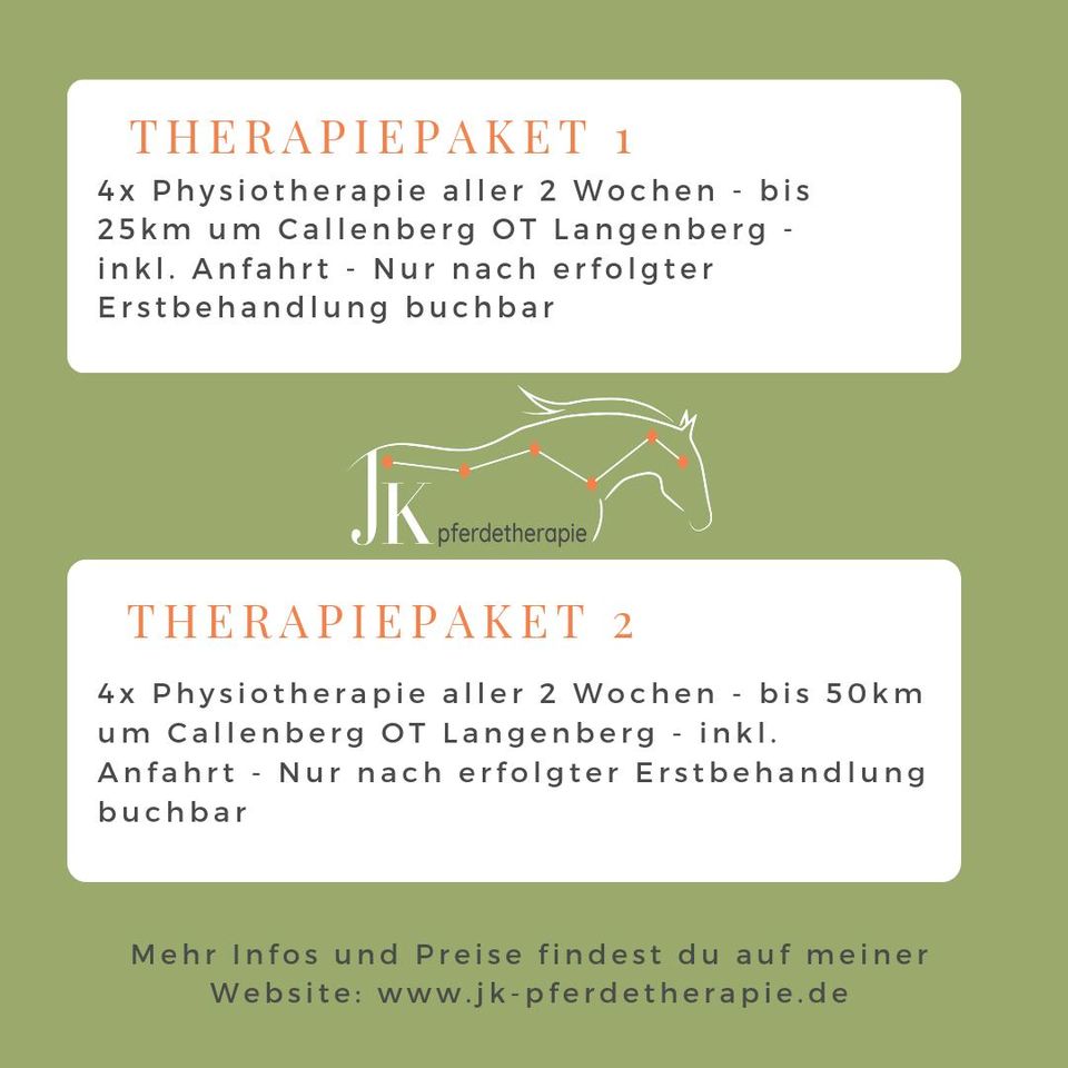 Therapiepakete Pferdephysiotherapie in Zwickau