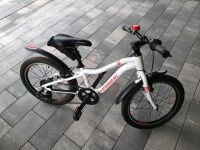 Haibike 20 Zoll Rheinland-Pfalz - Neuwied Vorschau