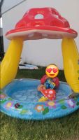 Babypool mit Dach Bayern - Niederviehbach Vorschau