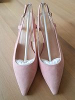 Slingpumps Pumps Velourleder Größe 40 Hessen - Groß-Umstadt Vorschau