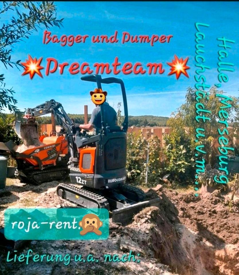 Minibagger 1,2t mieten Vermietung, Pool, Zisterne, GaLaBau in Teutschenthal