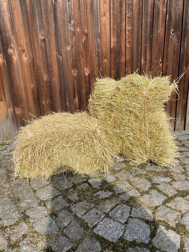 Bio Heu, kleine Heuballen, Heu Pakete Tierfutter oder Deko in Pulsnitz