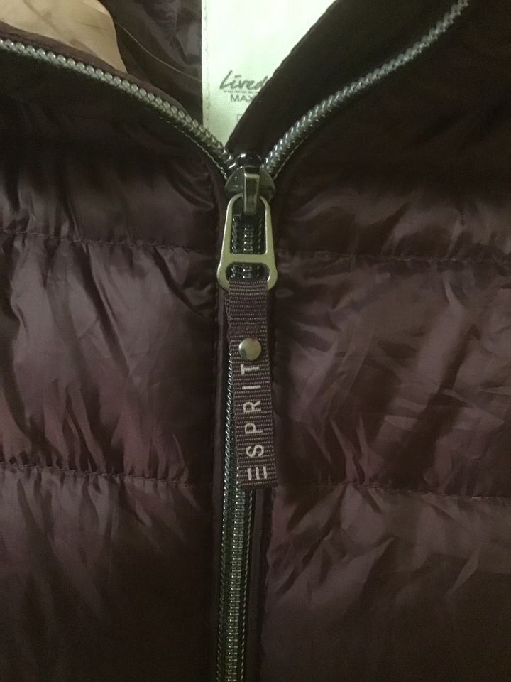 Daunen Jacke Mantel Kapuze leicht Esprit xs s 34/36 in Berg Oberfr.