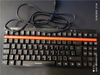 Rapoo VPRO V500 mechanische Gaming Tastatur Leipzig - Dölitz-Dösen Vorschau