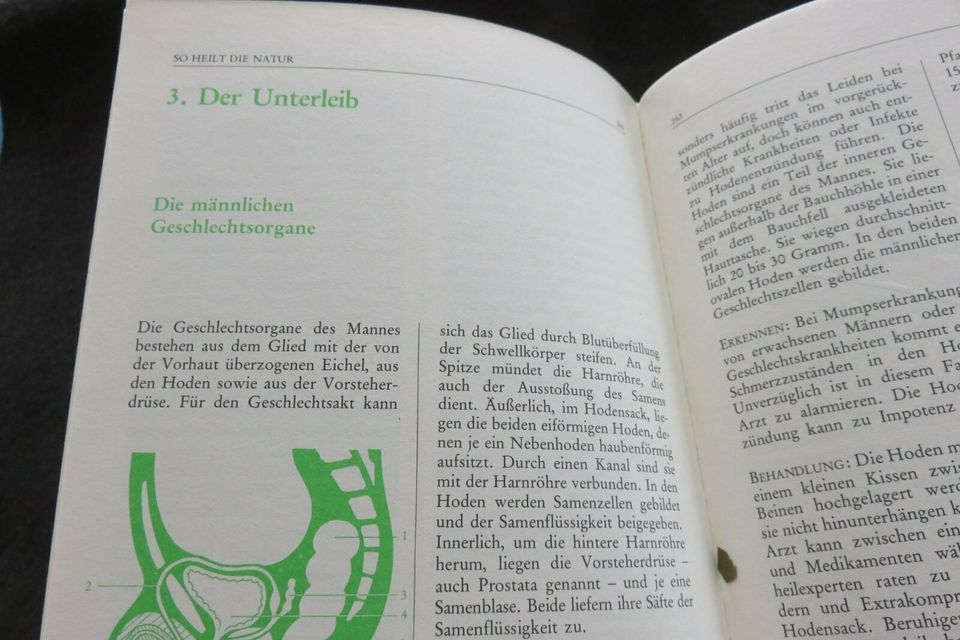 Großes Buch Naturheilkunde von A-Z  Helmut Löffler in Eging am See