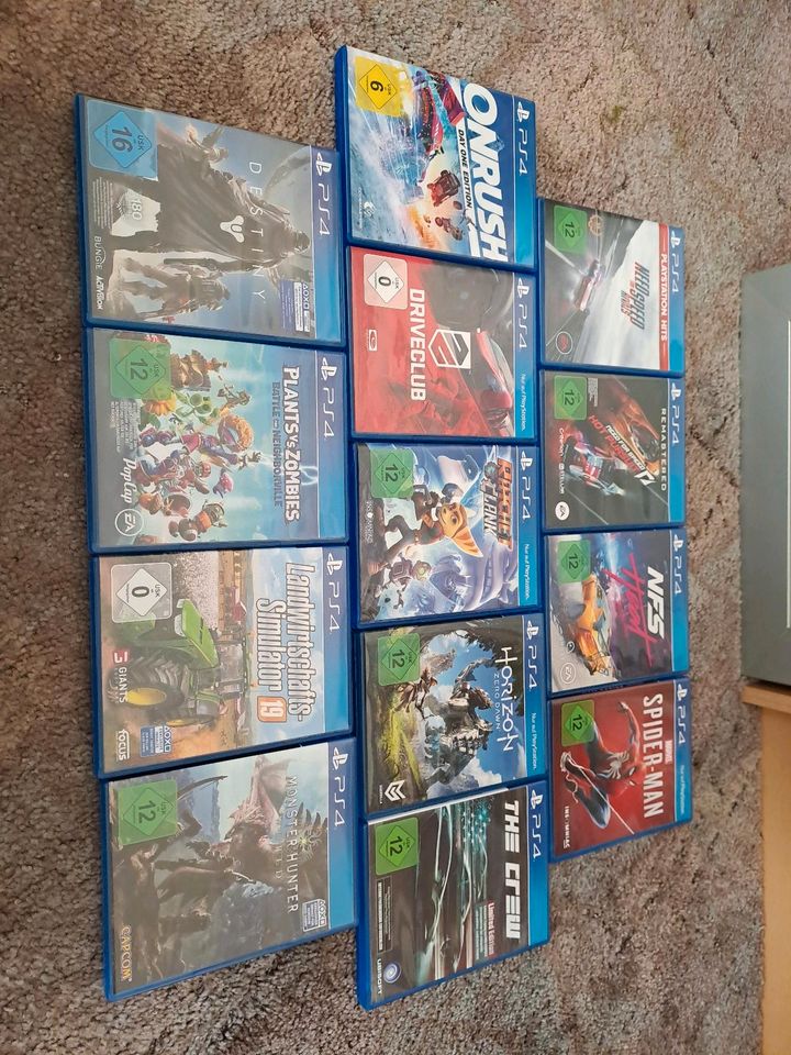 Diverse PS4 Spiele in Hollingstedt