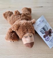 Warmies Sleepy Bear NEU Bär Wärmekissen Wärmetier Kuscheltier Bayern - Lohr (Main) Vorschau