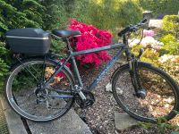 28 Zoll Lakes Vicenza Herrenfahrrad S52cm Dortmund - Brackel Vorschau