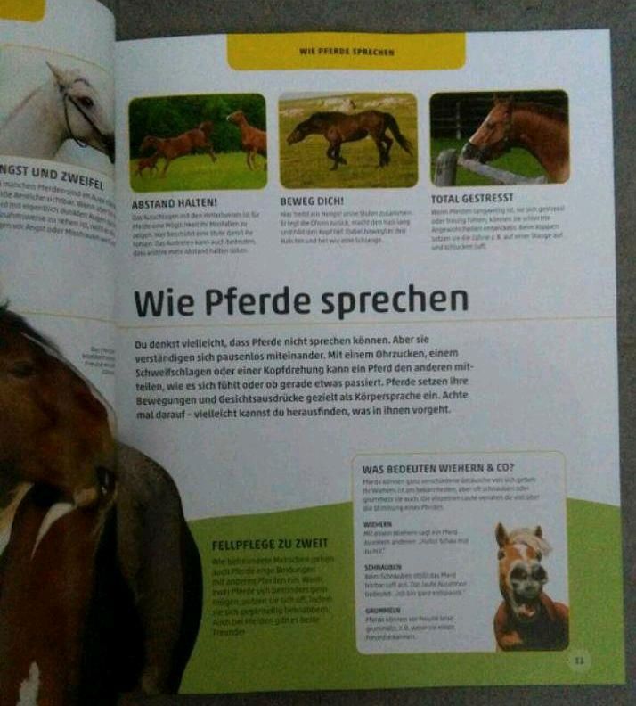 Pferde und Ponys 0.50€ in Pforzheim