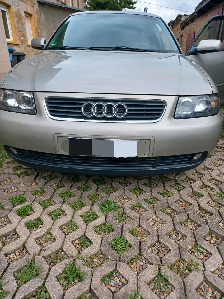 Audi a3 8l in Aschersleben