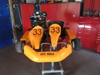 Kart, Zweisitzer, Honda GX390 Bayern - Mehlmeisel Vorschau