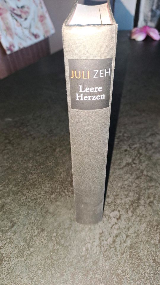 Roman von Juli Zeh Leere Herzen in München