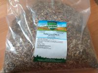 Pfefferminz Stiele 1 KG (Neu) Thüringen - Eisenach Vorschau