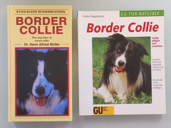 2x Border Collie BUCH Pflegen & verstehen + Was man wissen sollte in Michelau i. OFr.