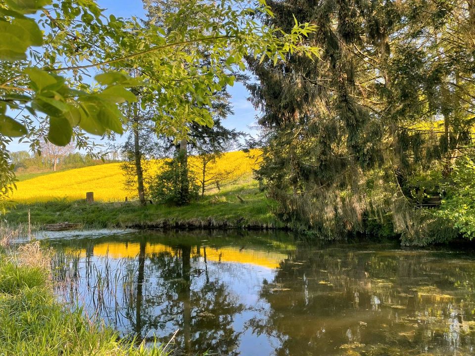 Teich/ Fischteich zu verpachten in Northeim