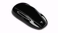 (Suche) Tesla Key Fob Schlüssel (gerne defekt) Baden-Württemberg - Lörrach Vorschau