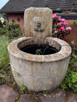 Brunnen für den Garten Nordrhein-Westfalen - Dörentrup Vorschau