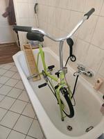 kettler DDR Heimtrainer grün Sachsen - Ebersbach/Sachsen Vorschau