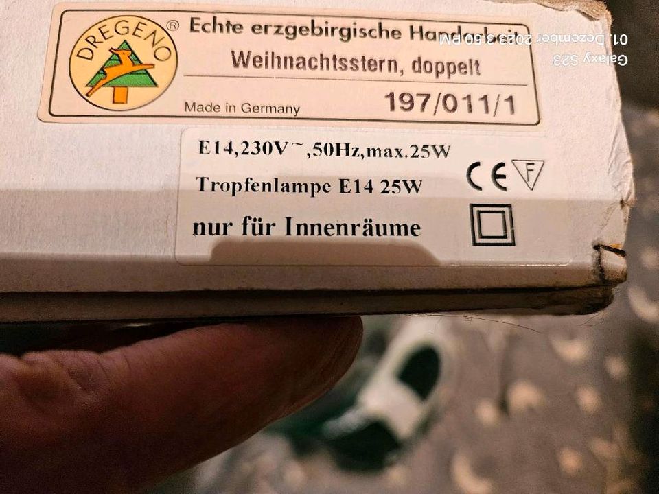 Ich verkaufe meinen Weihnachtsstern für 25€ gegen Selbstabholung in Dresden