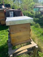 Bienenkästen unbenutzt Niedersachsen - Lüneburg Vorschau