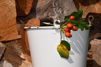Emaille Eimer Jardiniere Kastenform Garten Pflanzgefäße alt Niedersachsen - Hilgermissen Vorschau