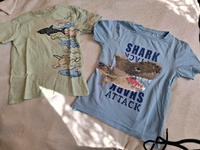 T Shirts *Haie*  Mecklenburg-Strelitz - Landkreis - Neustrelitz Vorschau
