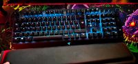 Razer Tastatur Bayern - Straubing Vorschau