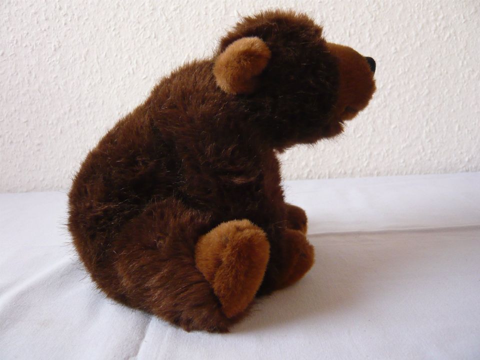 Steiff Baby Braunbär 20 Nr. 69314  wie neu, unbespielt in Östringen