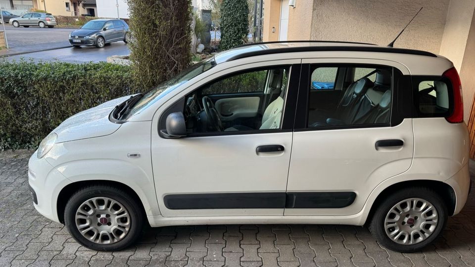 Fiat New Panda 1.2 8V EASY EASY TüV NEU in Ehningen
