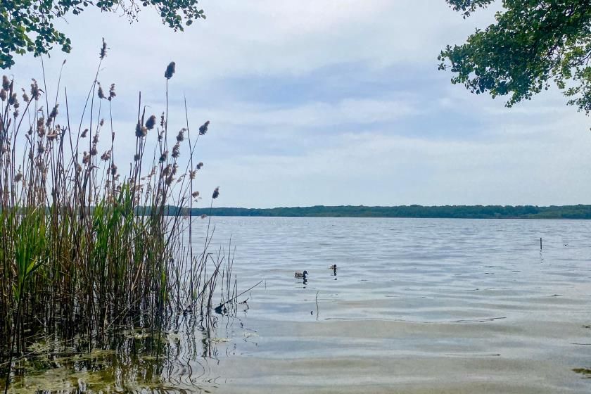 Erst genießen, dann Wohnträume umsetzen! in Bestensee