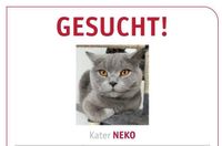 Kater Katze Vermisst Nordrhein-Westfalen - Wettringen Vorschau