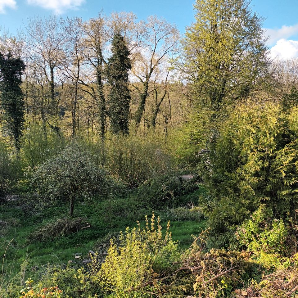 Mehrfamilienhaus, Generationen, 3 Wohnungen in Kasseedorf