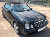 Mercedes Benz CLK 55 AMG designo Cabriolet Cabrio A208 W208 CLK55 Nordrhein-Westfalen - Kleve Vorschau