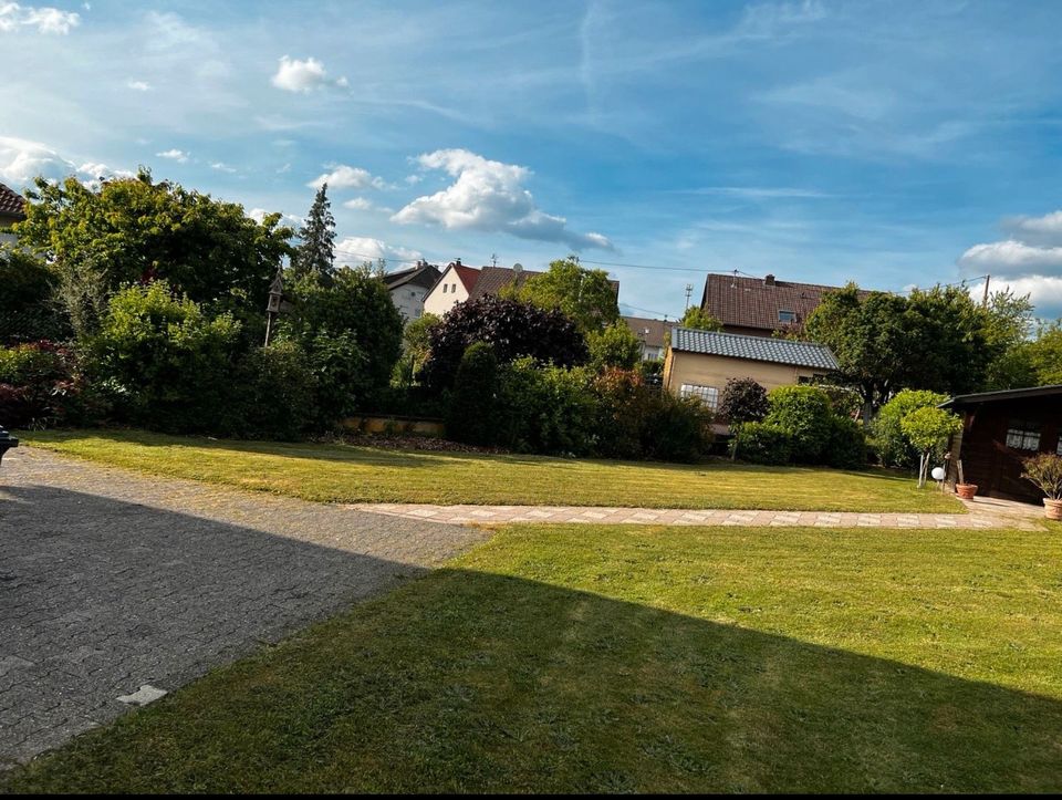 MT Garten-Landschaftspflege,Hausmeisterservice,Gartenarbeit in Binsfeld