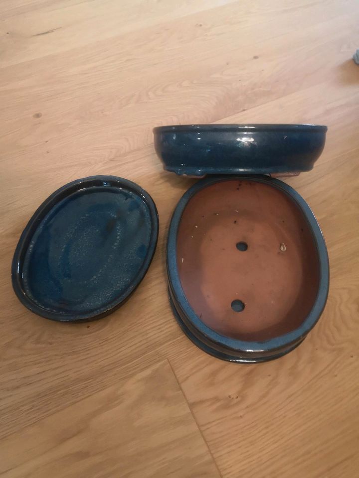 2 Bonsaischalen oval blau keramik 25cm x 18cm in Hamburg
