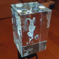 Steinbock Glasquader Laser Sternzeichen Glas Leipzig - Kleinzschocher Vorschau