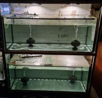 2 Aquarien 130x50x50 mit Gestell Niedersachsen - Barsinghausen Vorschau