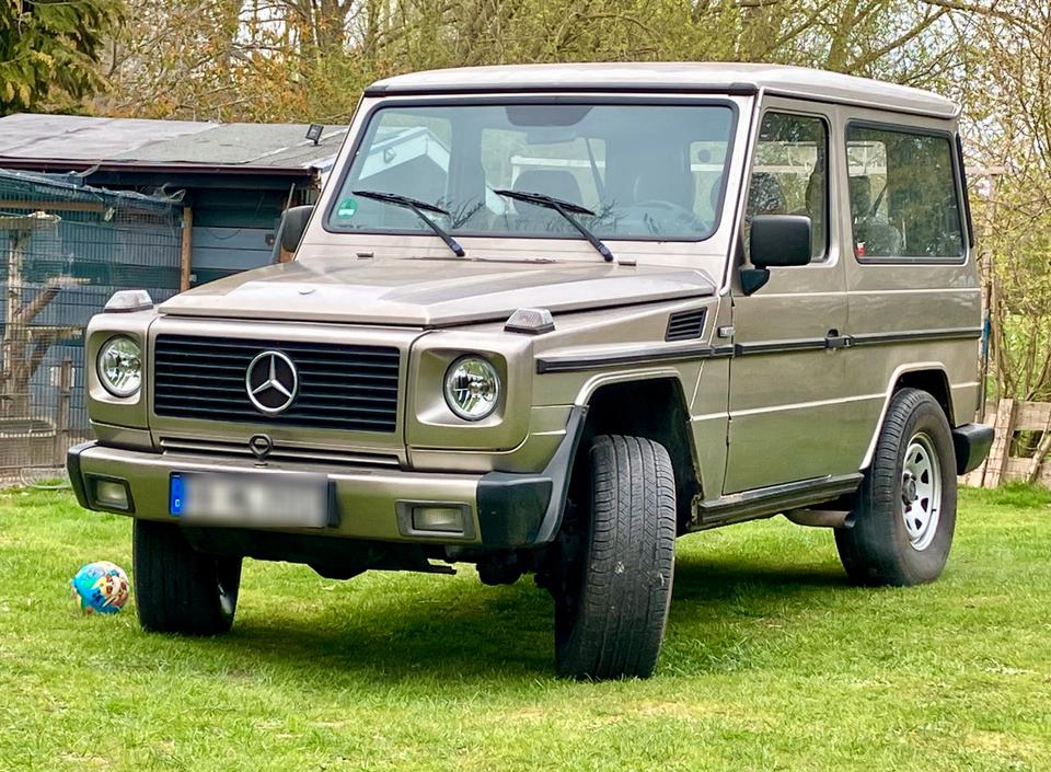 Mercedes Benz G300 Mercedes G klasse mercedes G300 Allrad 4x4 in Loxstedt