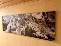 Wandbild Tiger - 150 x 50 cm - Auf Holzrahmen - Schöne Wanddeko Rheinland-Pfalz - Arzbach Vorschau