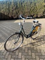 Gazelle Fahrrad Niedersachsen - Ostrhauderfehn Vorschau