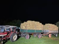 Stroh, Strohballen, HD-Ballen, Klein Ballen Sachsen - Wittichenau Vorschau