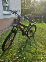 Neuwertiges Mountainbike Nordrhein-Westfalen - Much Vorschau