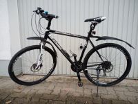 Herren Fahrrad RH56 Dynamics Hessen - Hammersbach Vorschau