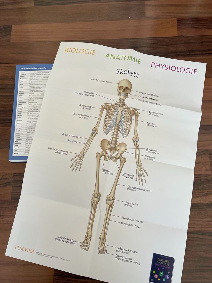 Biologie Anatomie Physiologie 9. Auflage in Köln