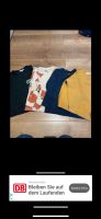 4 tolle Jungen Pullover von Zara, Größe 104, zusammen 10€ Bielefeld - Bielefeld (Innenstadt) Vorschau